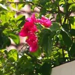 Apartment Luxury Semi-2bed Pool Near & Walking Street! Pattaya