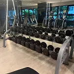 The Base