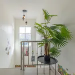 Luxury 5 Bedrooms Pool With Terrace Pattaya