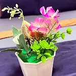Guest house Lucky Devil