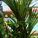 New Nordic Pattaya