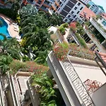 C-View 2