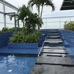 Tree Top