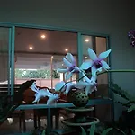 Hotel Nanthana 2*