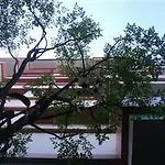 Nanthana 2*