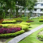 Island View
