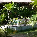 Lotusland 3* Pattaya