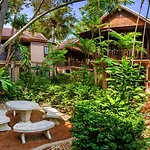 Resort Rabbit