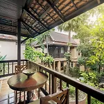 Rabbit Pattaya