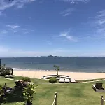 The Palm Front *