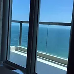 The Palm Front *