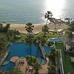 The Palm Front