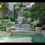 The Palm Beach Front