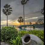 The Palm Front *