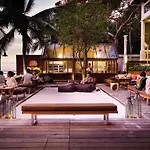 The Palm Front *