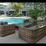 The Palm Front *