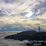 The Palm Front