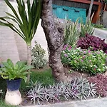 Phuphaya Resort 2*
