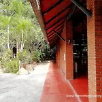 The