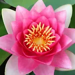 View Talay 1B Studio