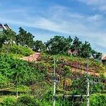 Grande Caribbean Unit 815