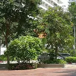 View Talay 5c Studio, 8 Eme Etage อพาร์ทเม้น Pattaya