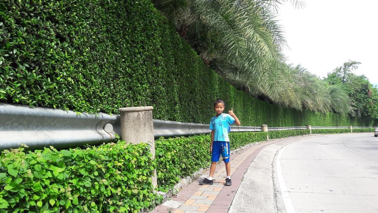 Guest house Nong 3*