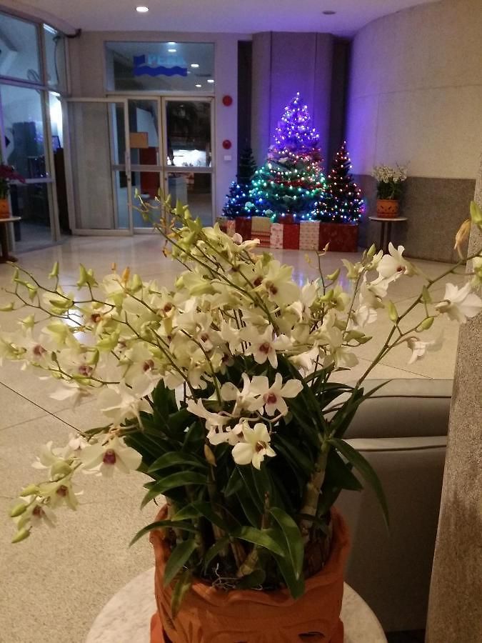 Peak Condominium Aparthotel Pattaya