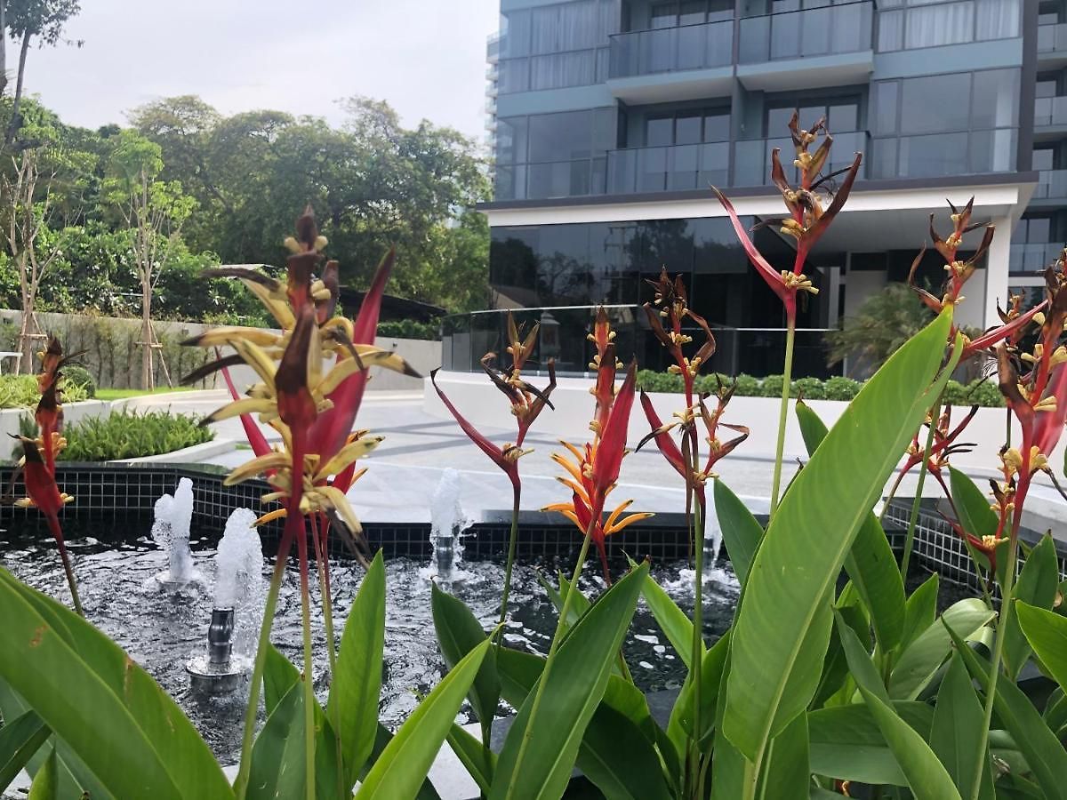 The Andromeda Seaview อพาร์ทเม้น *