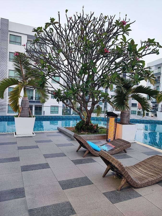 โรงแรม Arcadia *