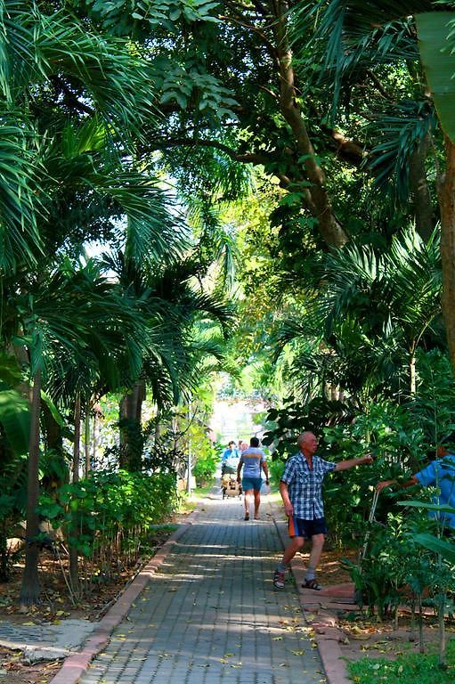 Garden Pattaya