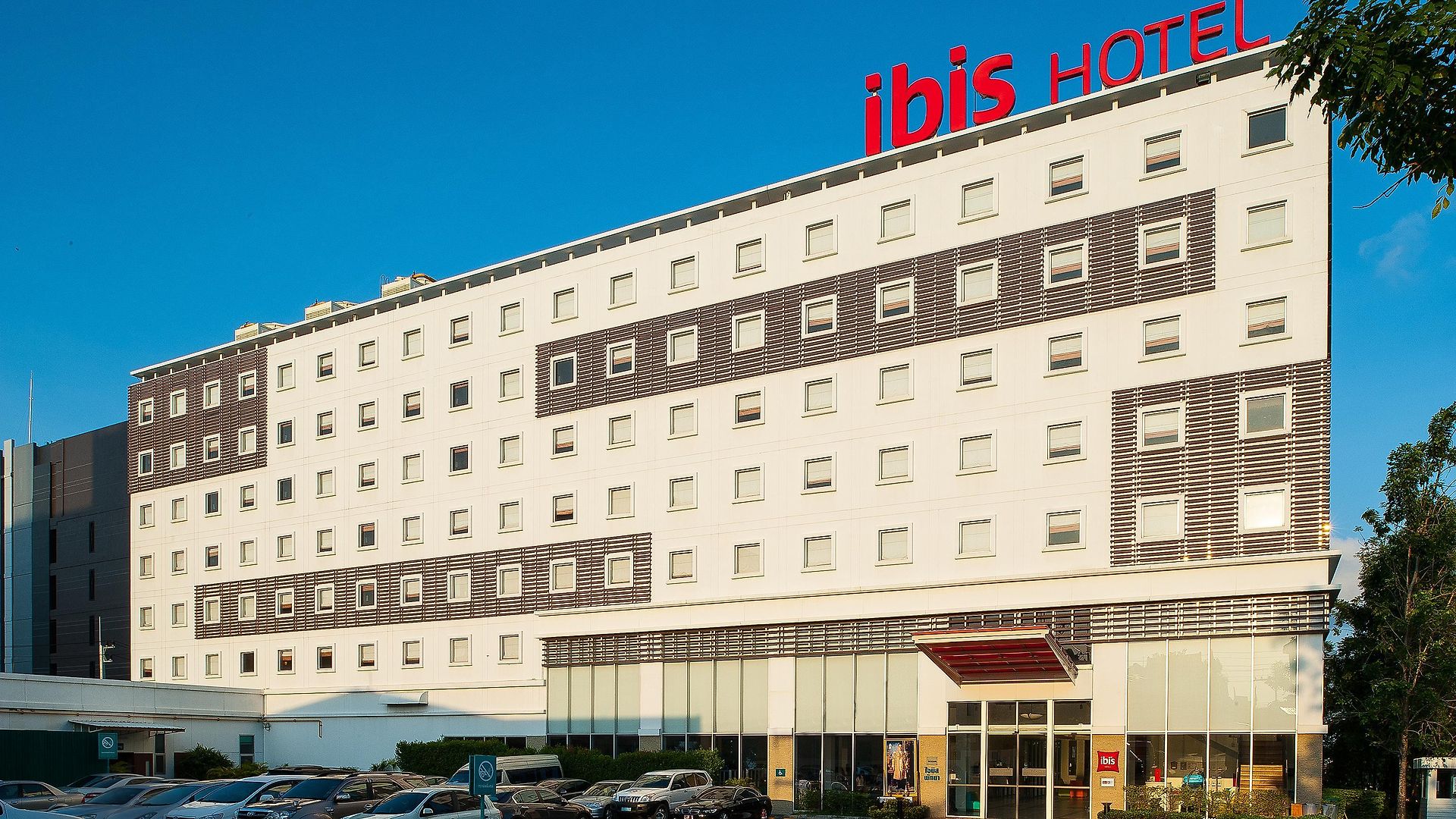 Ibis