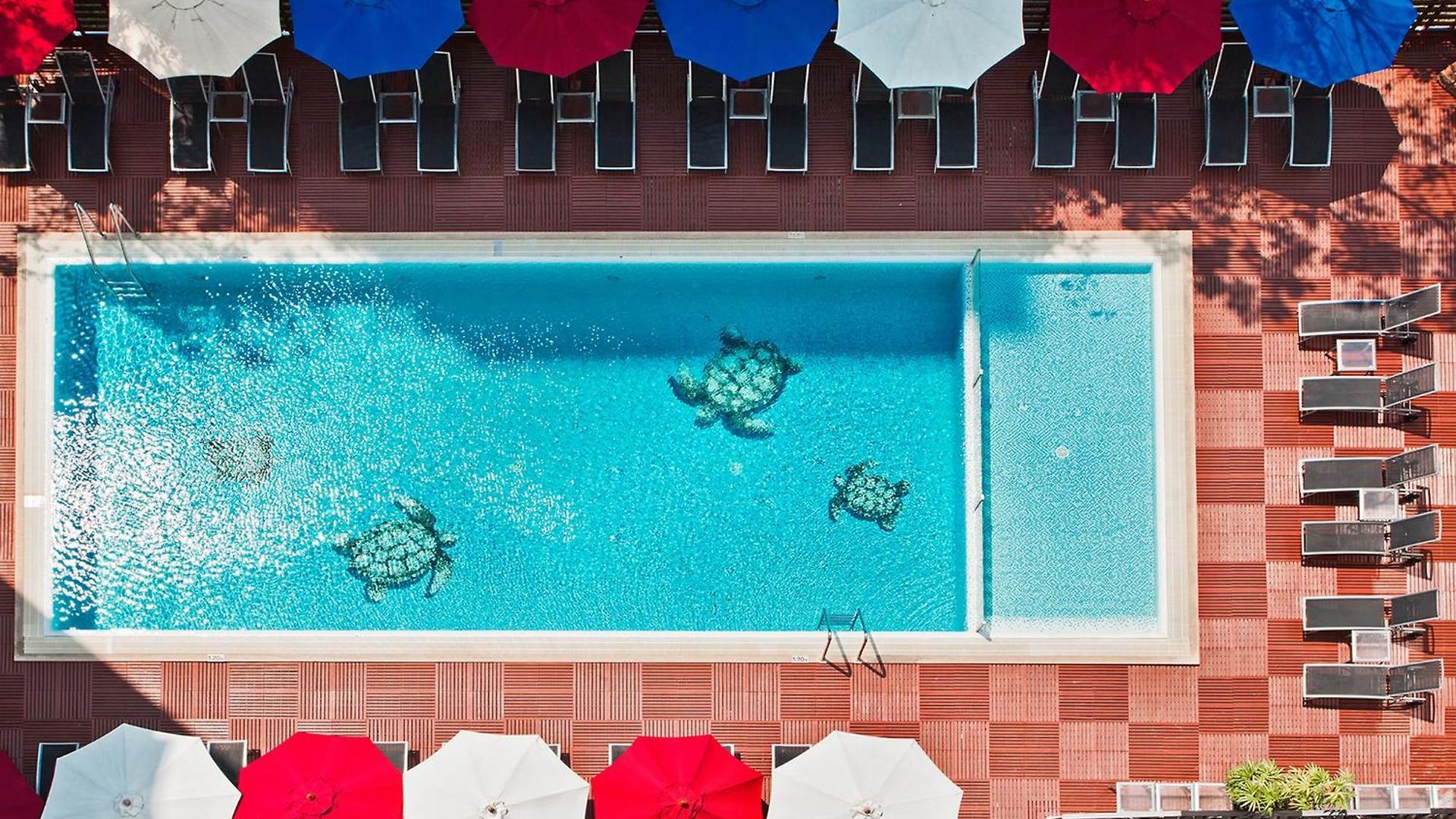 Ibis 3*