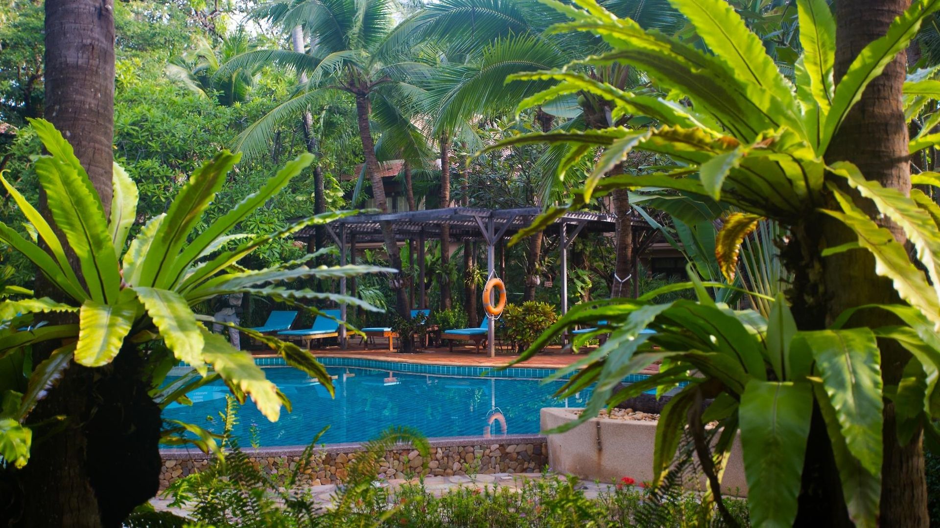 Rabbit รีสอร์ท Pattaya
