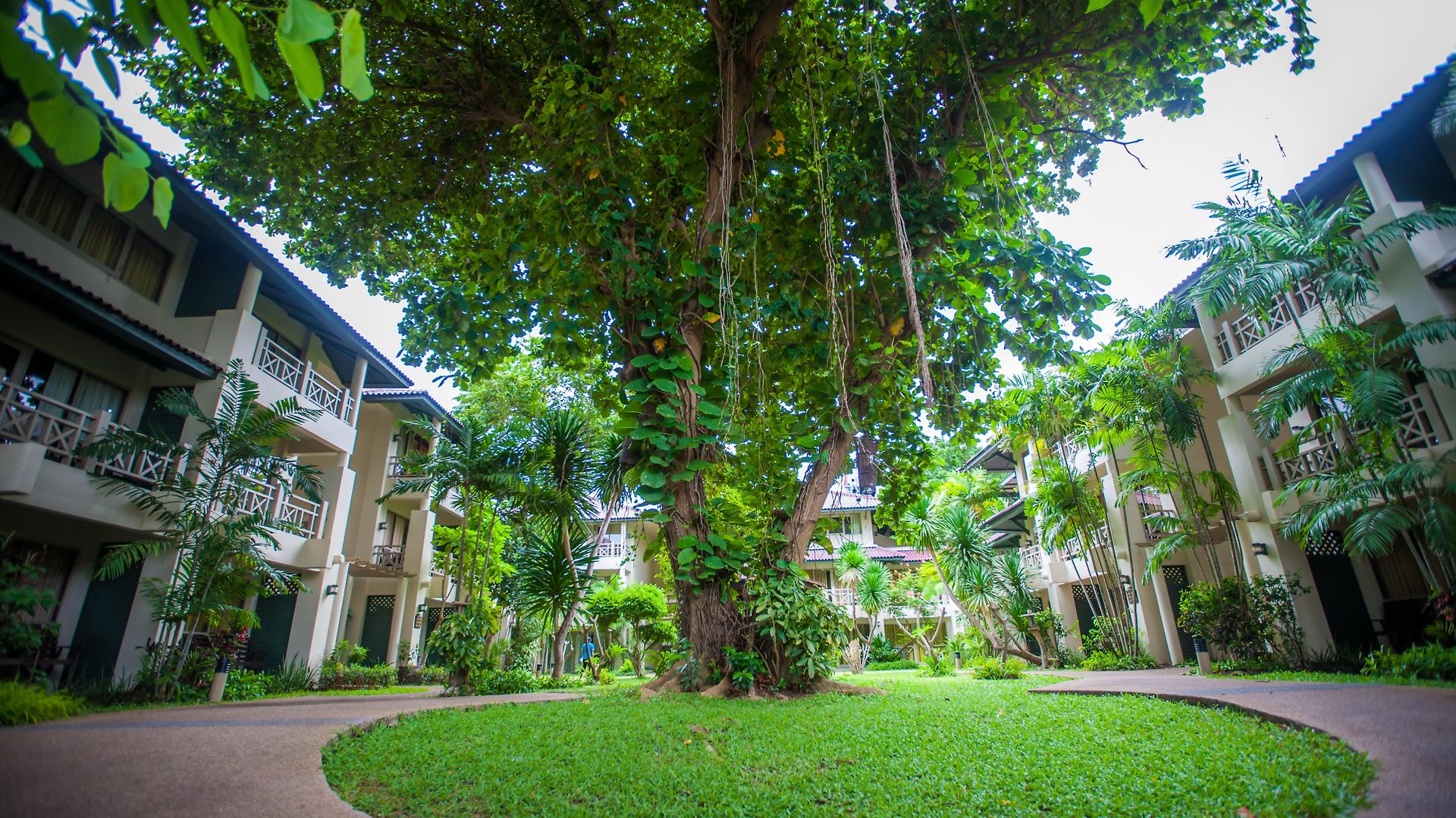 รีสอร์ท Natural Park