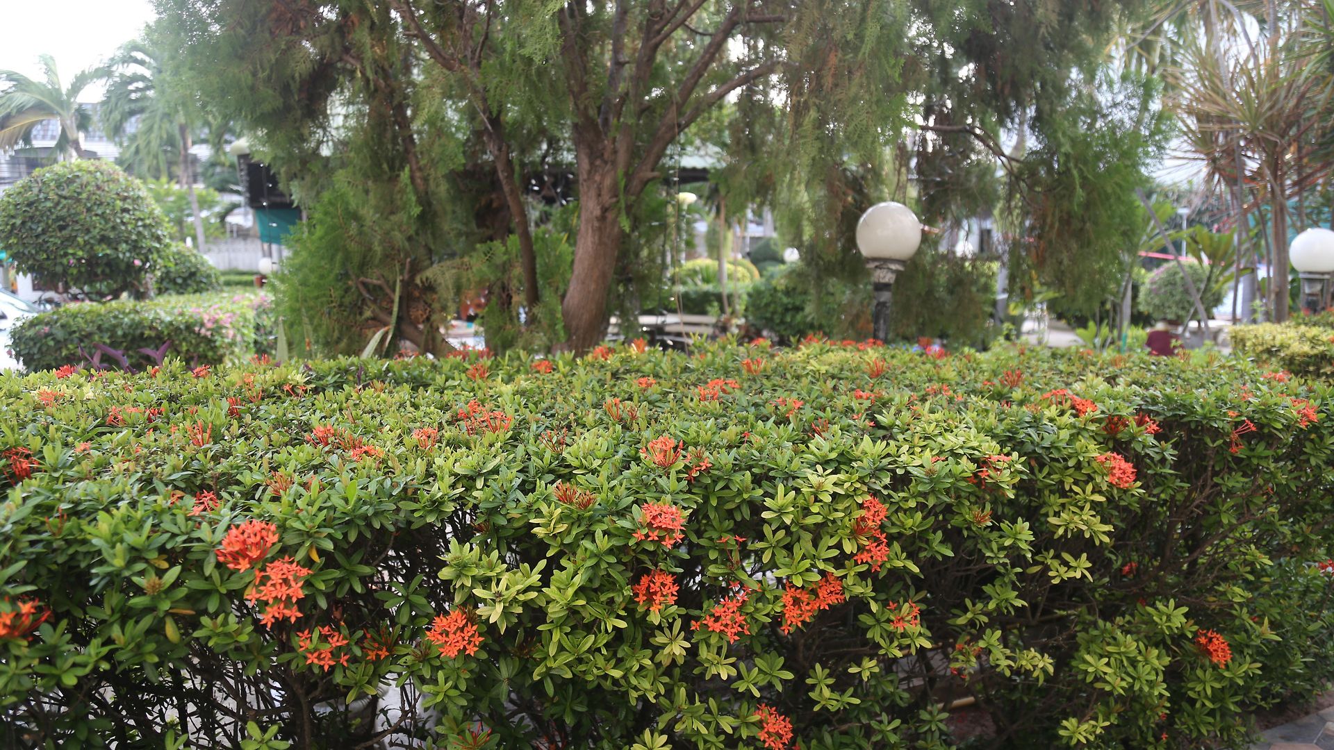 Romeo Palace 3*