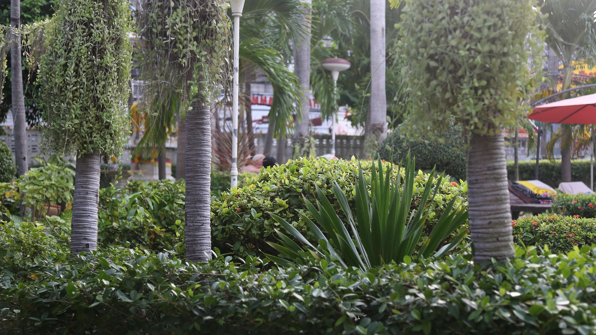 Romeo Palace Hotel