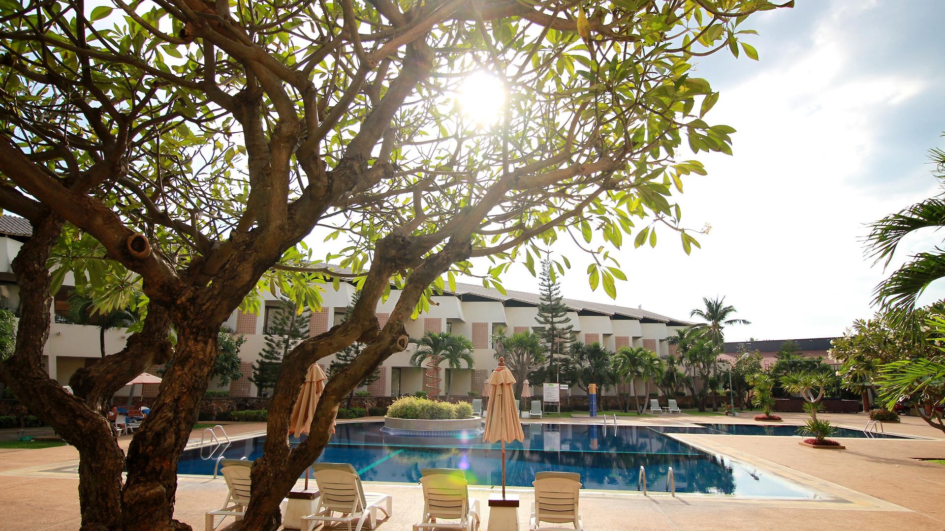 รีสอร์ท Tropicana
