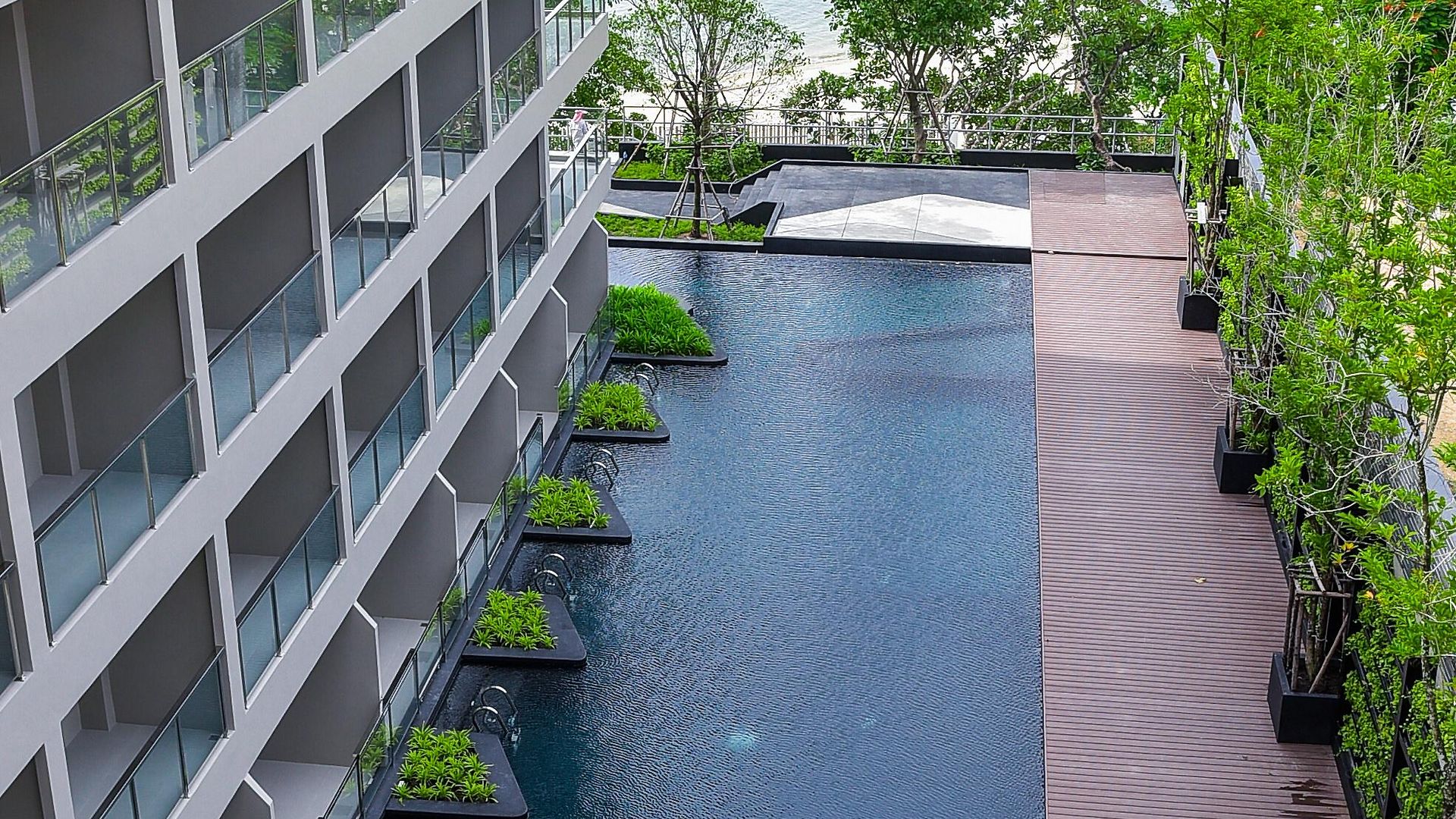 โกลเดน ทิวลิป พัทยา บีช รีสอร์ต Pattaya