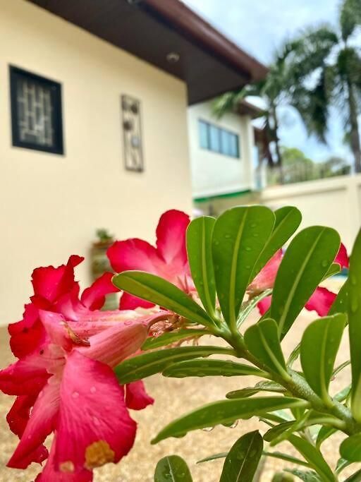Mj22 Majestic Poolvillas 2 Bedrooms & Cozy Pattaya