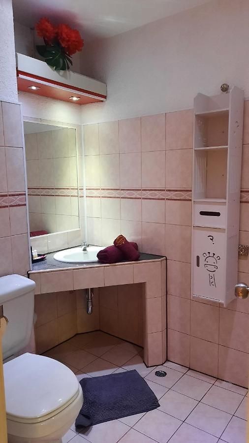 Hotel Swiss Food Restaurant And For Rent
