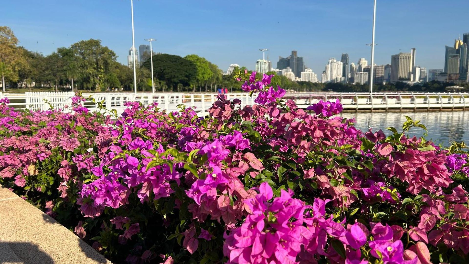 อพาร์ทเม้น Mina View 2 Pattaya