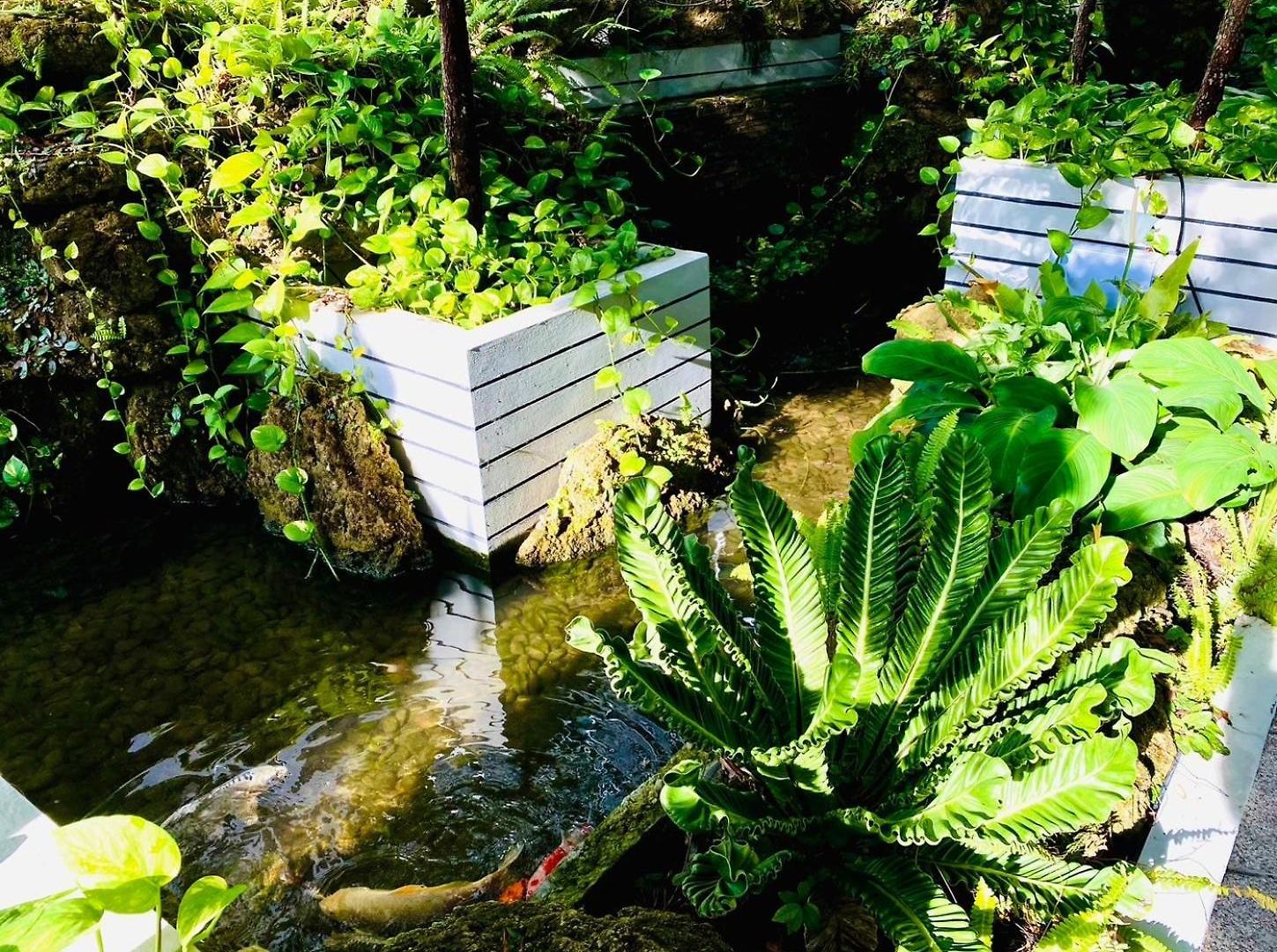 D Eco Wellness Luxury