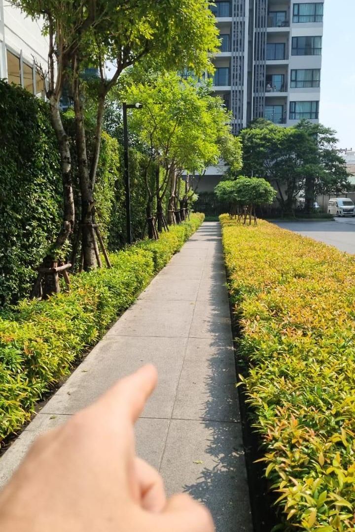 The Base Location * Pattaya