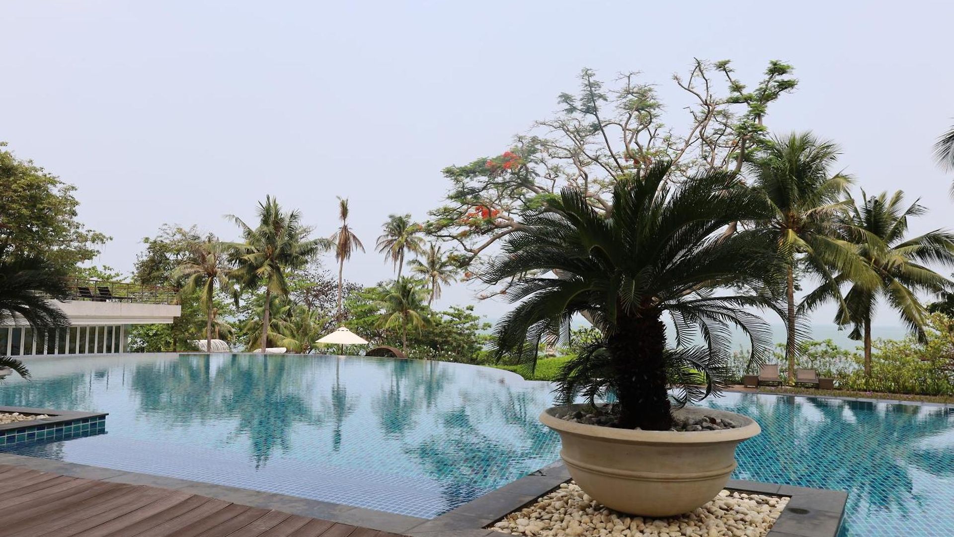 Premium Oceanview *