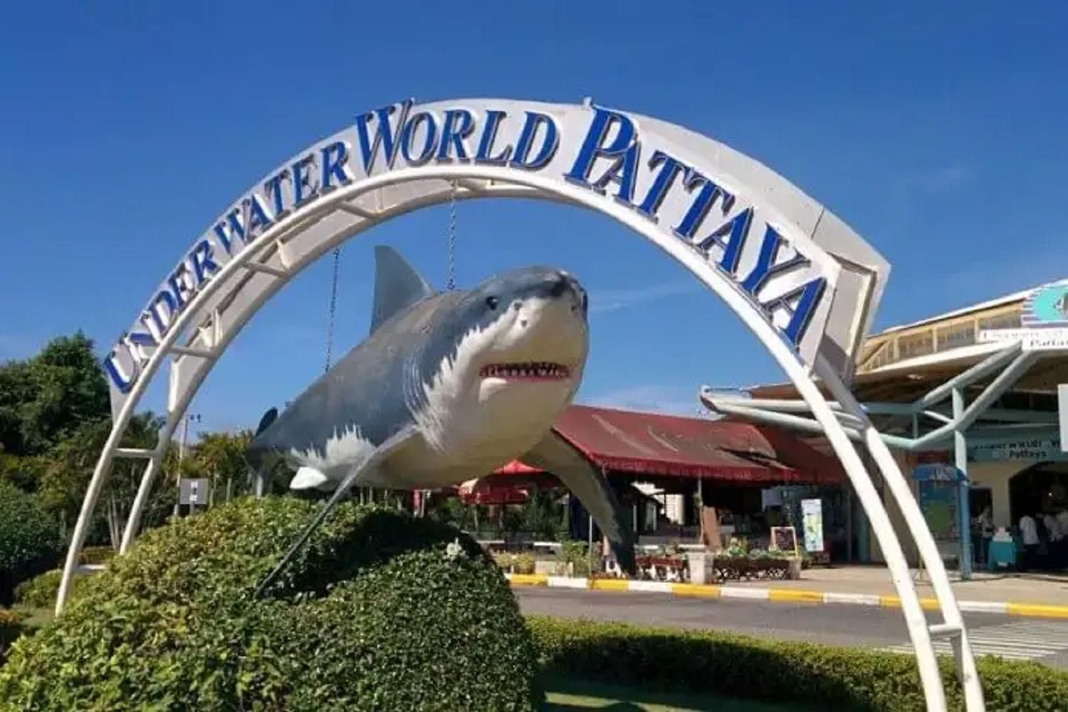 Your Time Pattaya