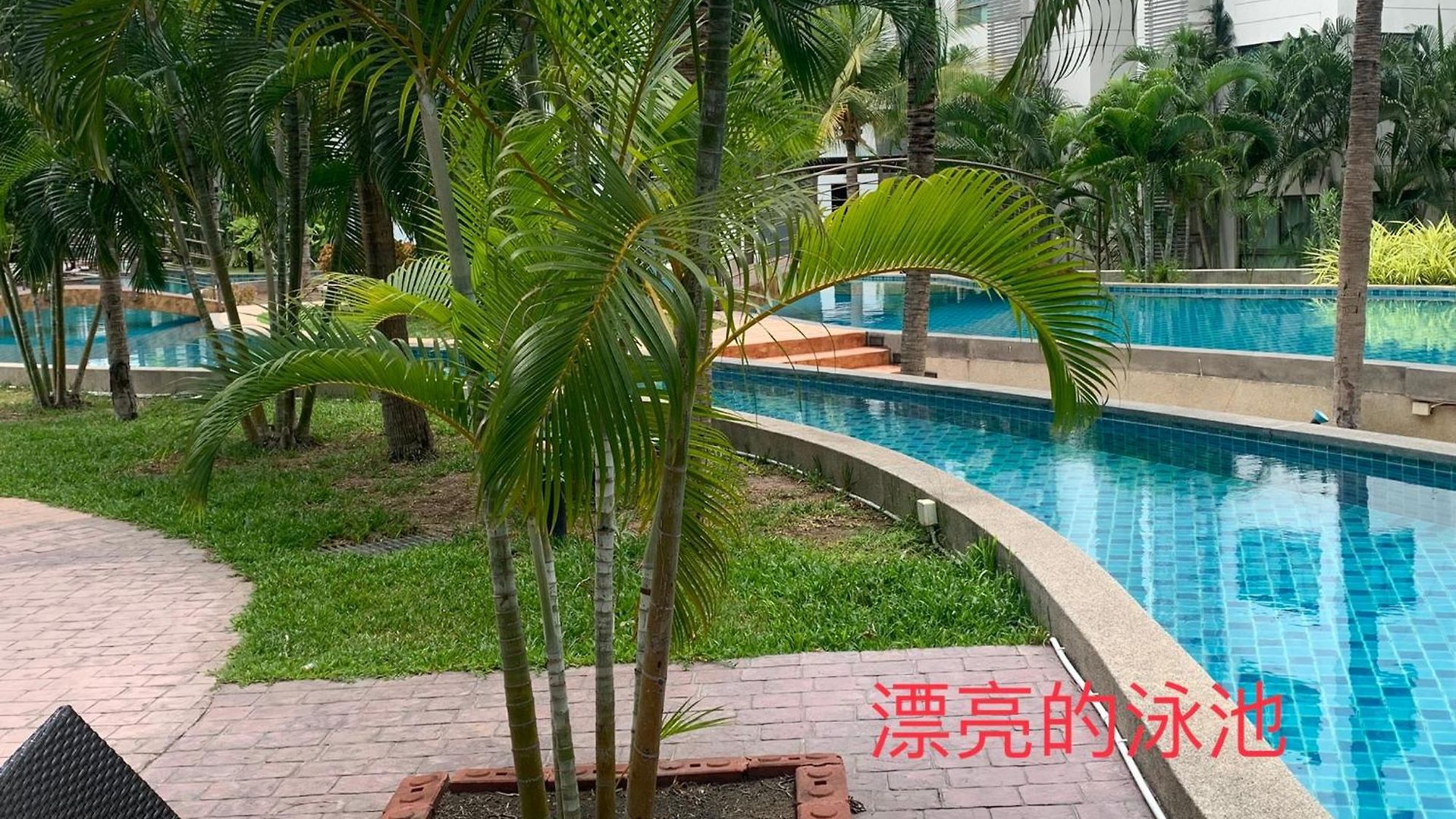 豪华两房两卫2 Bedrooms 2 Bathrooms 泳池公寓arcadia 靠近步行街 生活便利 อพาร์ทเม้น