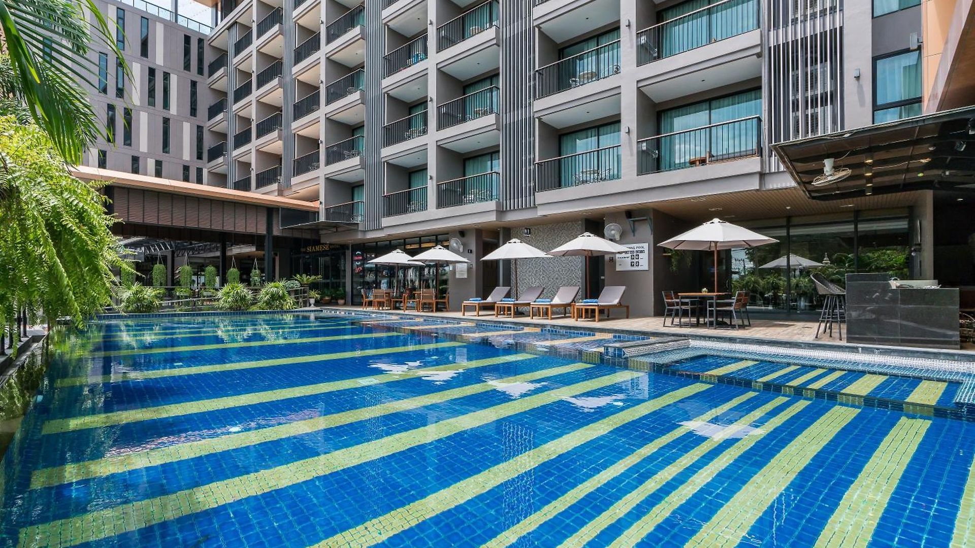 Siamese Pattaya, Bw Signature Collection 4*