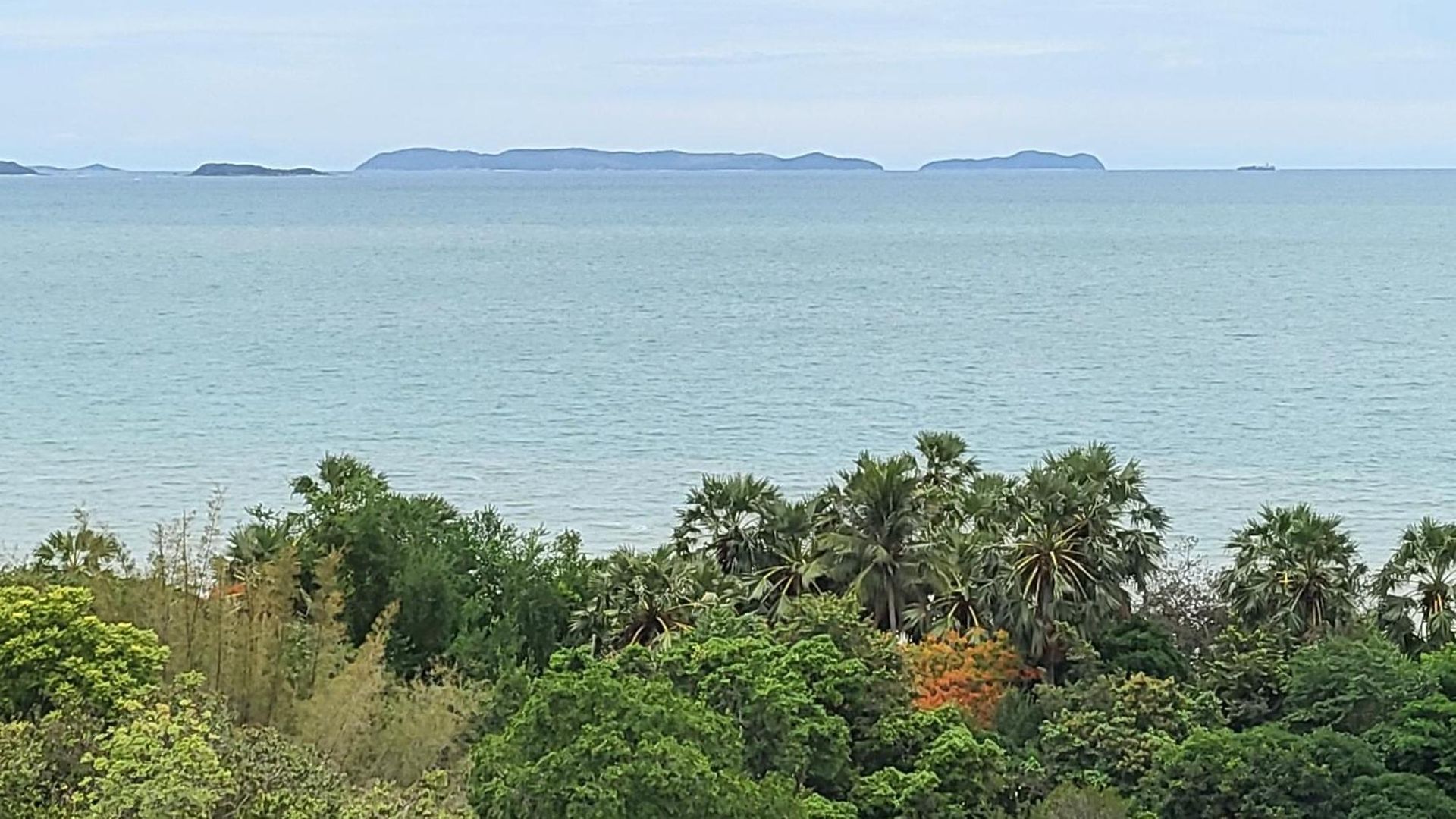 Serenity Wongamat By Patsamon อพาร์ทเม้น Pattaya