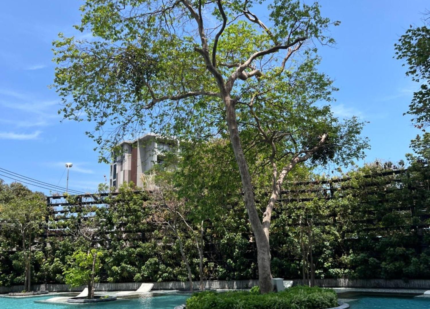 Wong Amat Luxury Condo--private